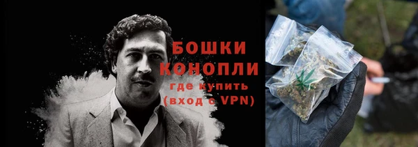 крисы Краснослободск