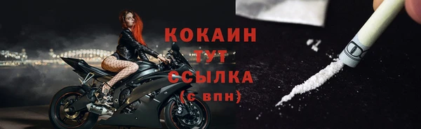 крисы Краснослободск