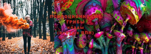 крисы Краснослободск