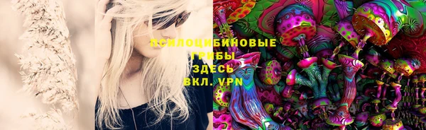 крисы Краснослободск