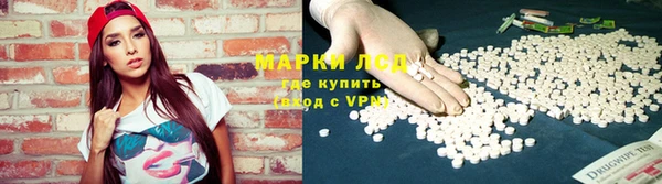 крисы Краснослободск