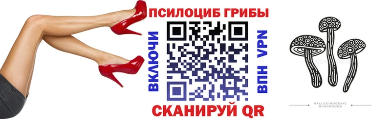 как найти   Березники  Псилоцибиновые грибы мухоморы 