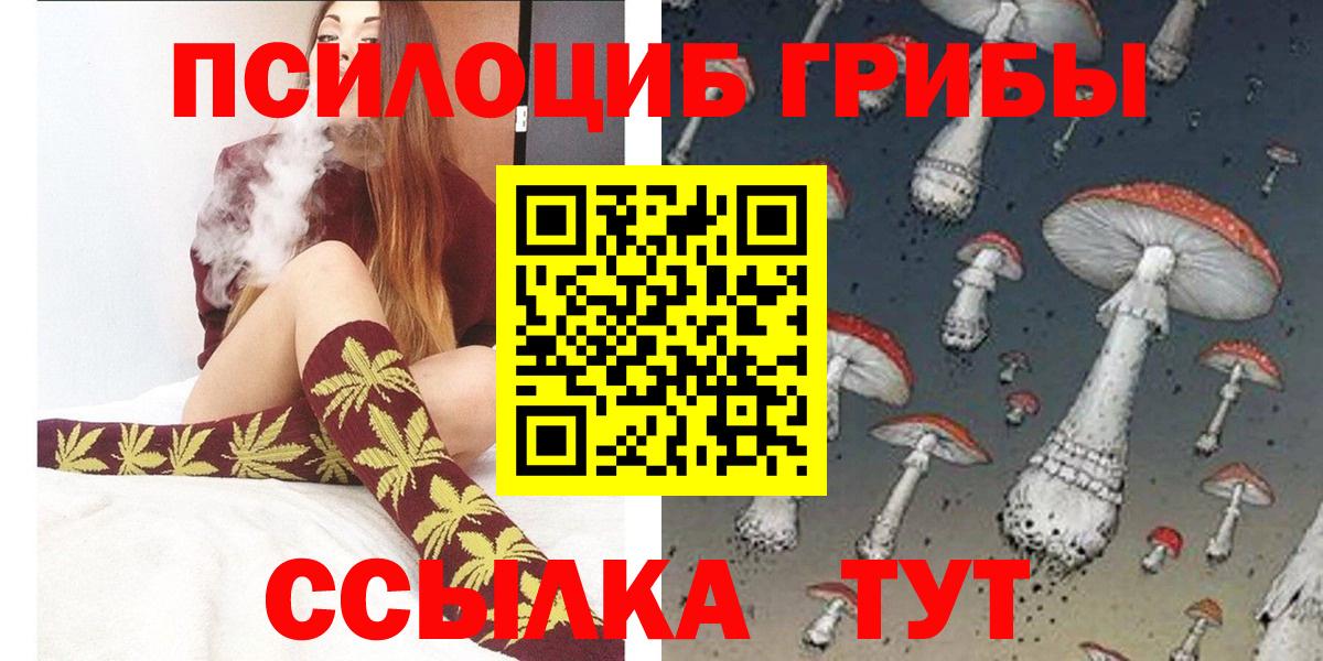 купить  сайты  Березники  Галлюциногенные грибы MAGIC MUSHROOMS 